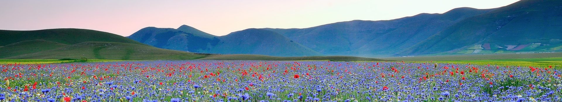 الف لام میم